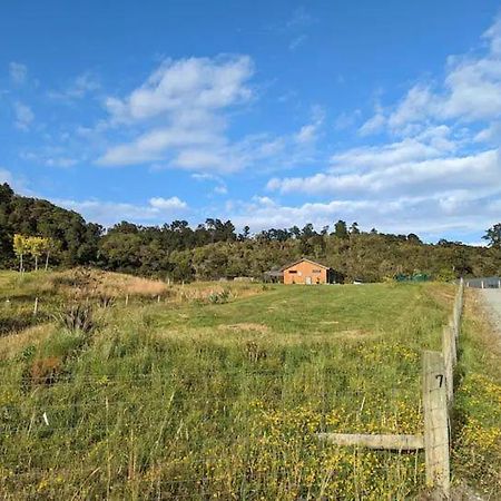 Enchanted Retreat In Greymouth Shared With Host Екстер'єр фото